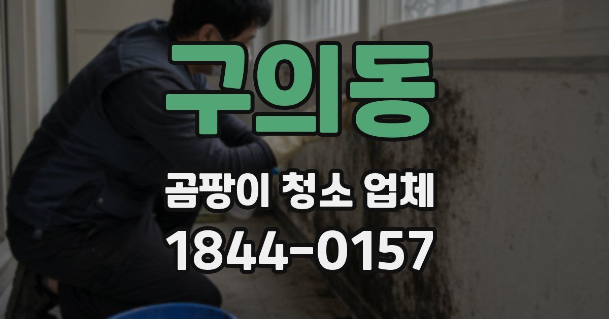 구의동 곰팡이 청소 업체