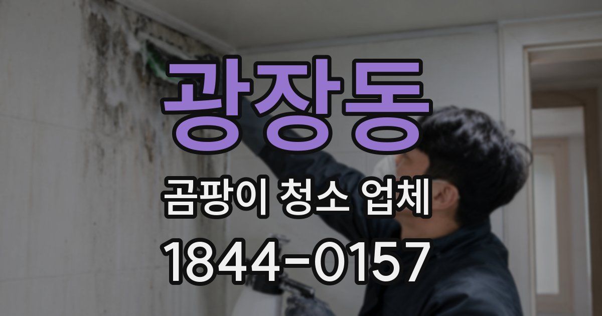 광장동 곰팡이 청소 업체