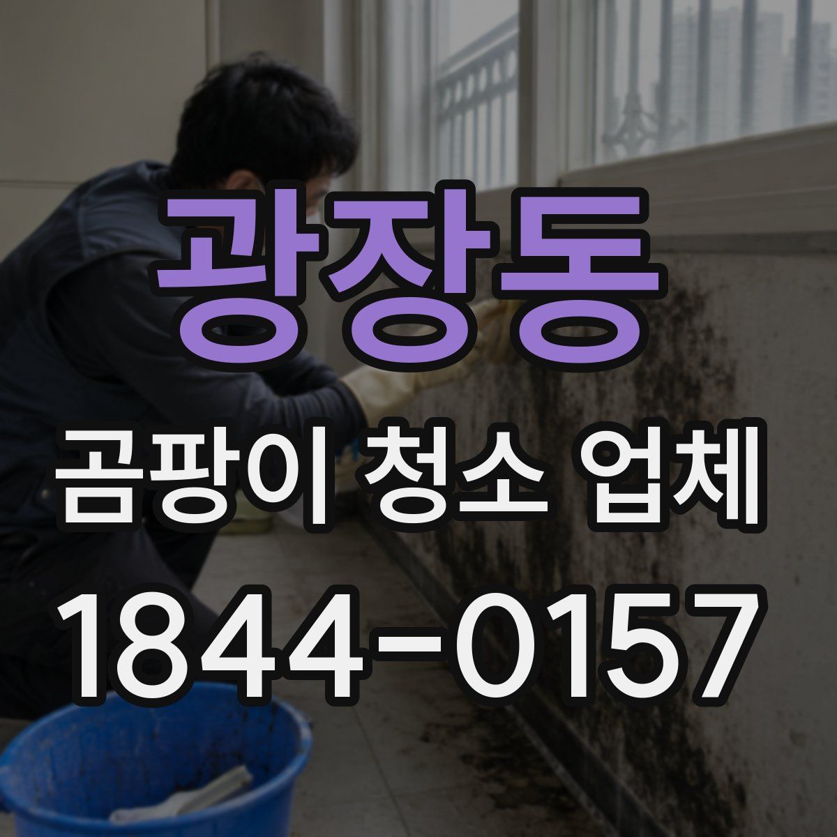 광장동 곰팡이 청소 업체