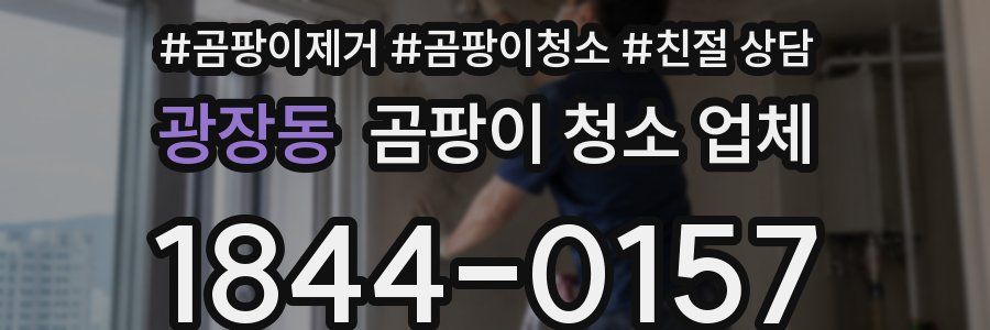 광장동 곰팡이 청소 업체