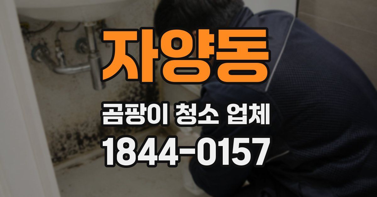 자양동 곰팡이 청소 업체