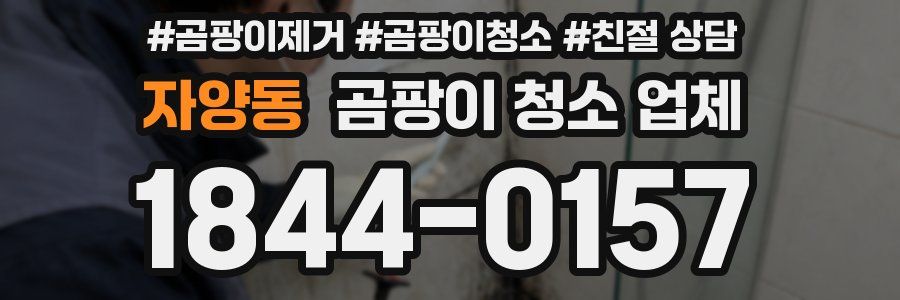 자양동 곰팡이 청소 업체