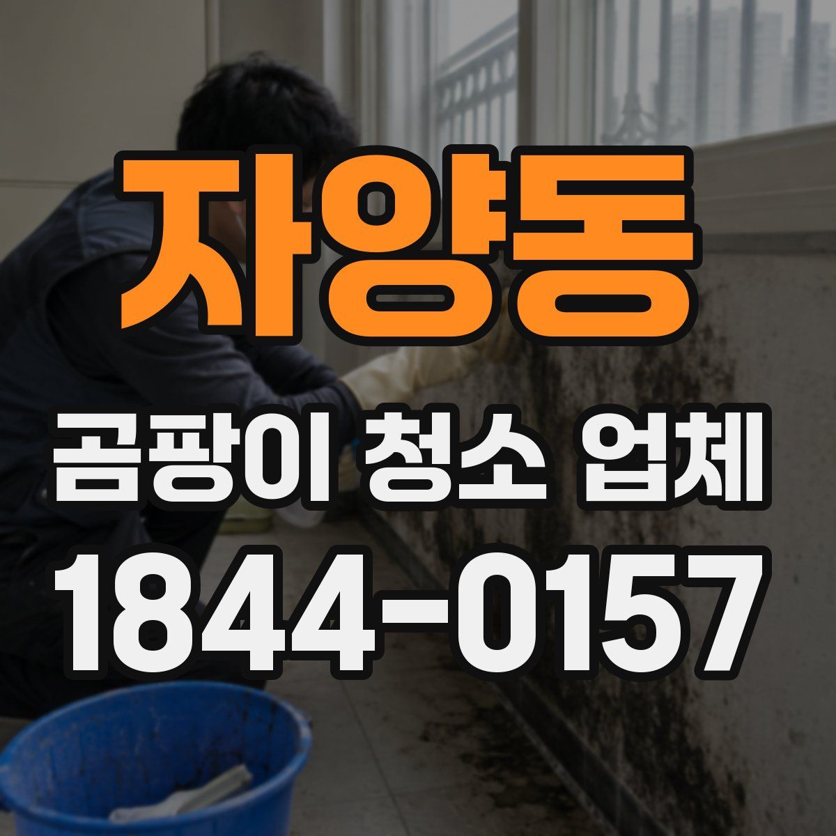 자양동 곰팡이 청소 업체