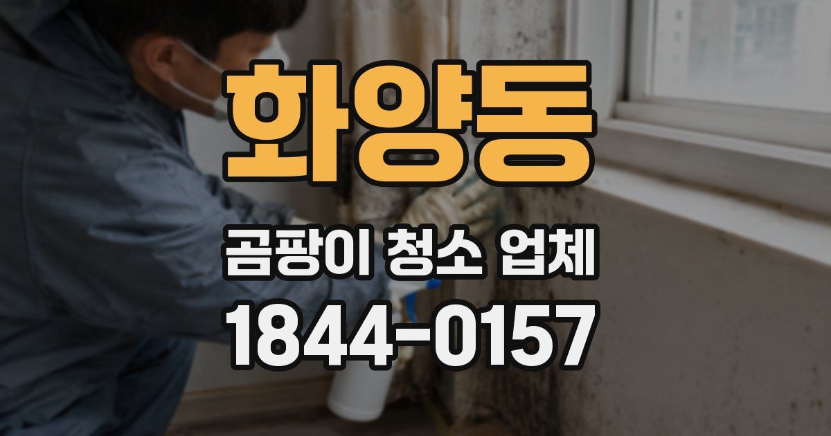 화양동 곰팡이 청소 업체