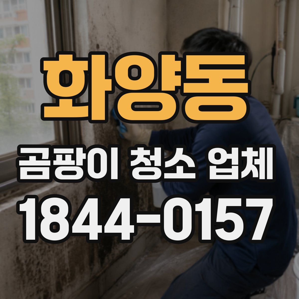 화양동 곰팡이 청소 업체