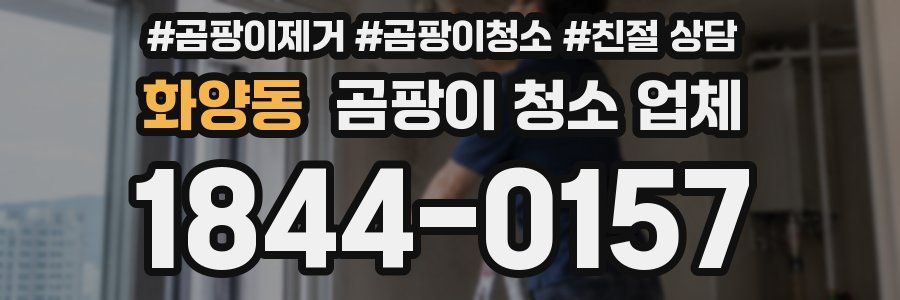 화양동 곰팡이 청소 업체