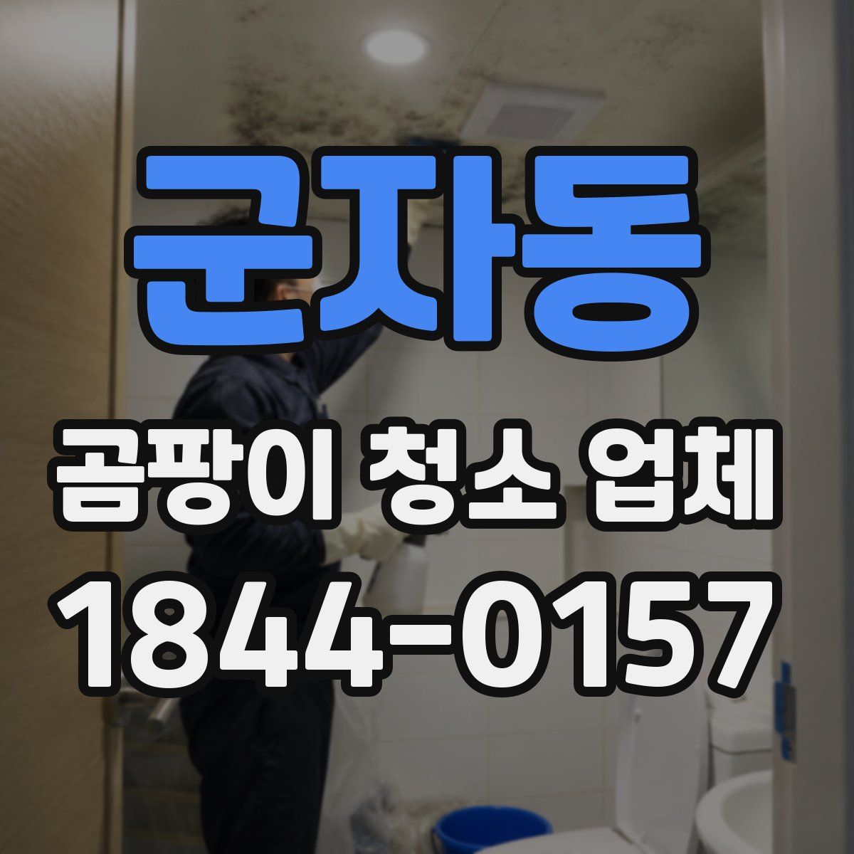 군자동 곰팡이 청소 업체