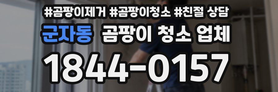 군자동 곰팡이 청소 업체
