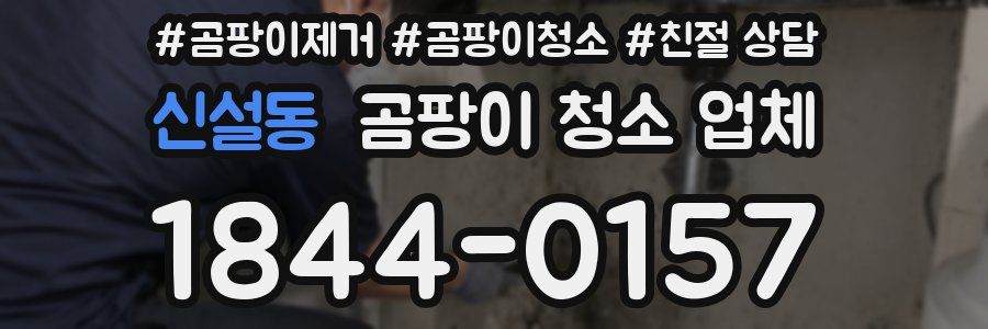 신설동 곰팡이 청소 업체
