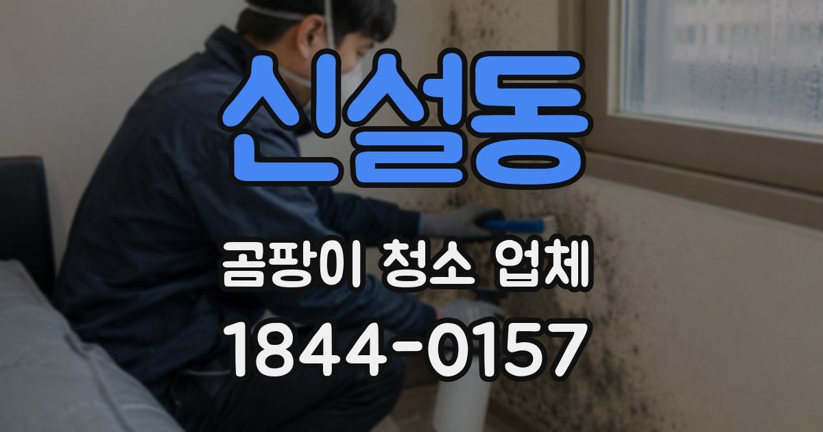 신설동 곰팡이 청소 업체