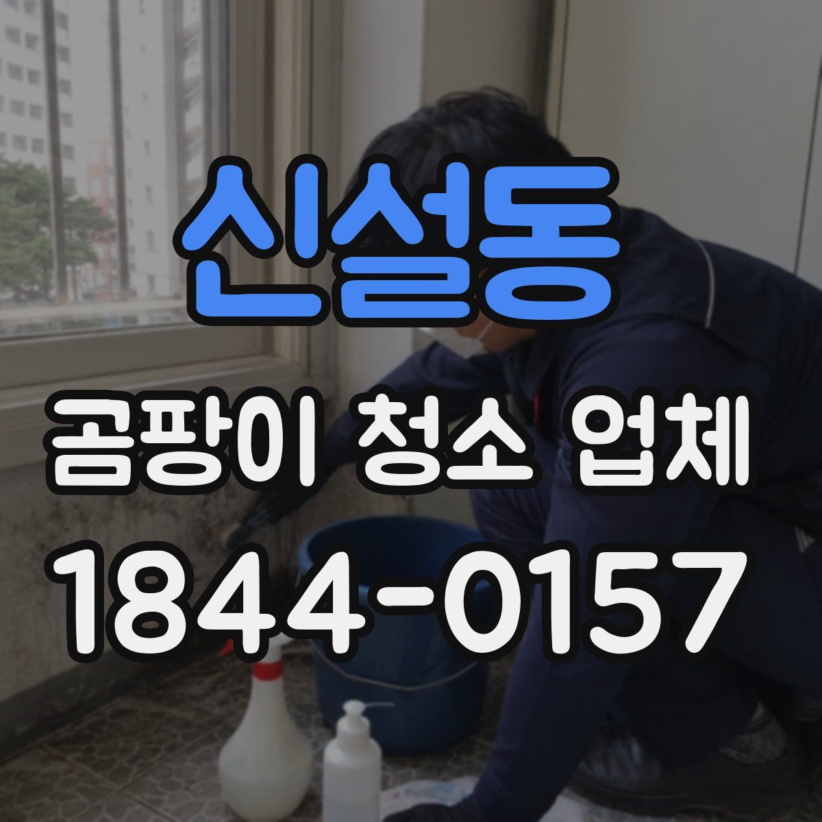 신설동 곰팡이 청소 업체