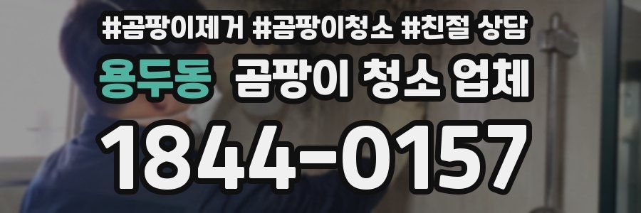 용두동 곰팡이 청소 업체