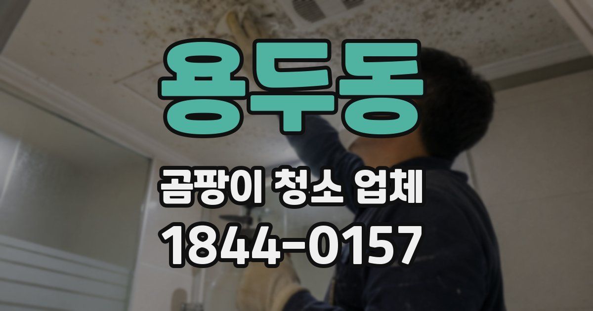 용두동 곰팡이 청소 업체