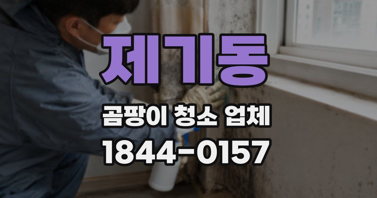 제기동 곰팡이 청소 업체