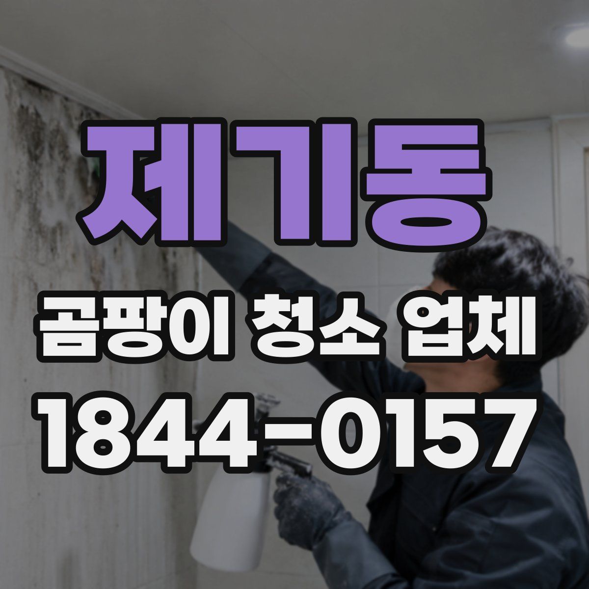 제기동 곰팡이 청소 업체