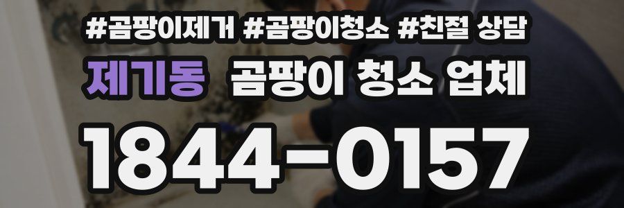 제기동 곰팡이 청소 업체