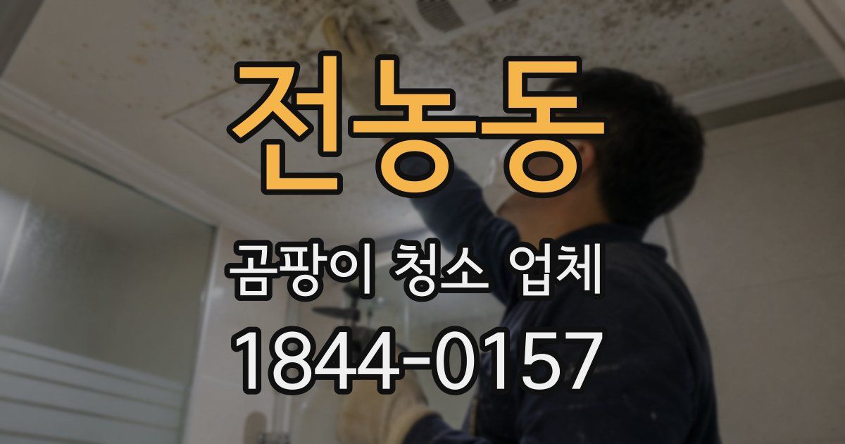 전농동 곰팡이 청소 업체