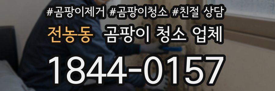 전농동 곰팡이 청소 업체