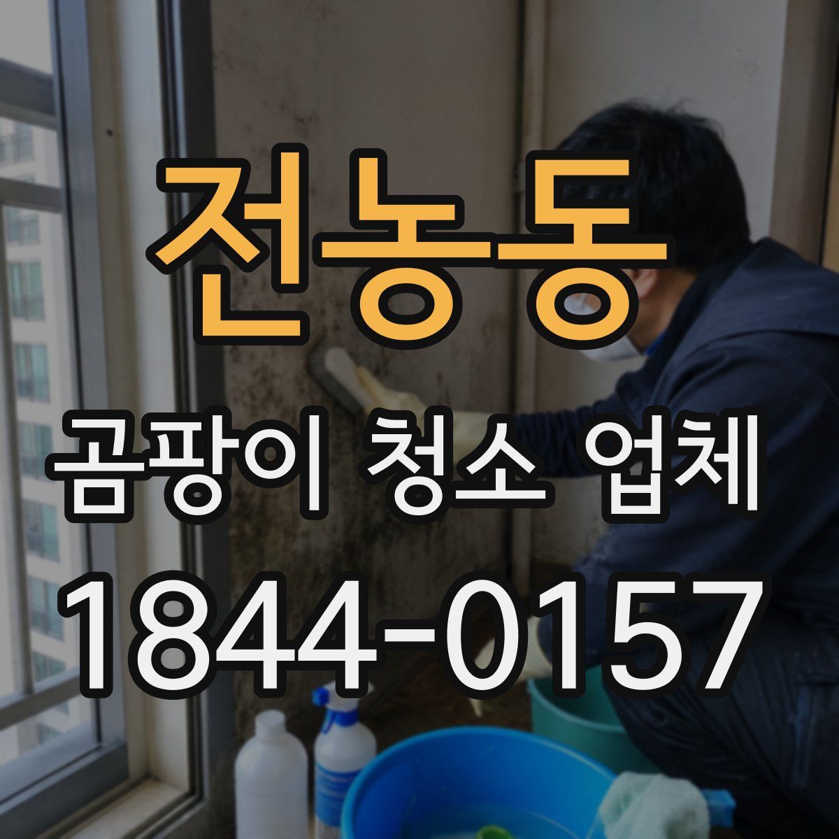전농동 곰팡이 청소 업체