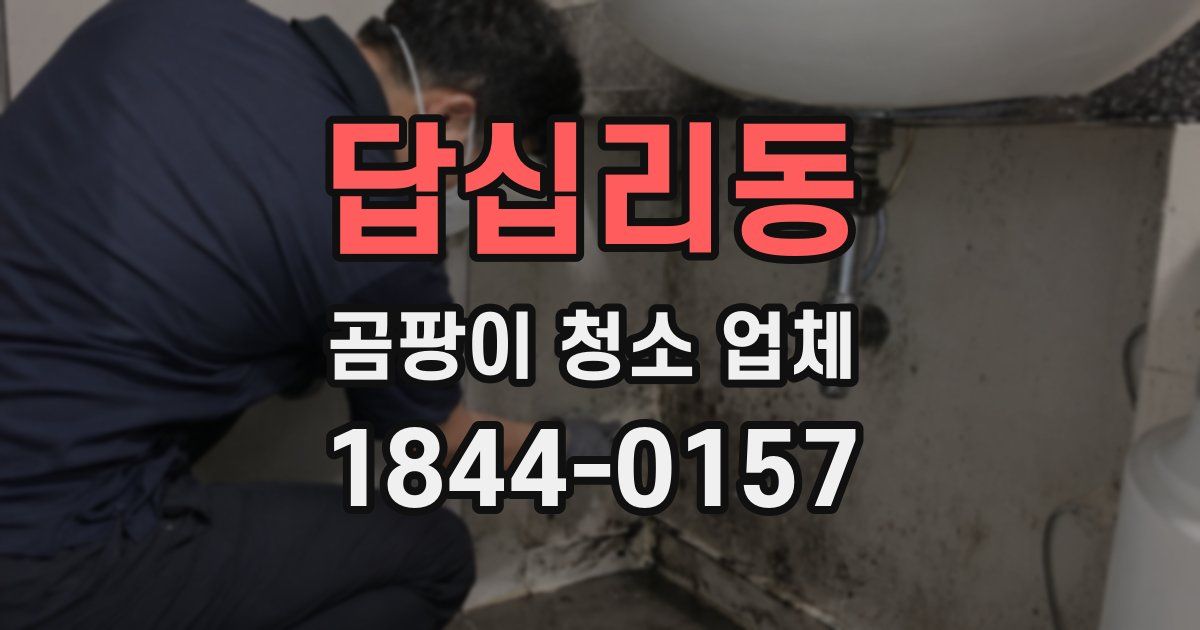 답십리동 곰팡이 청소 업체