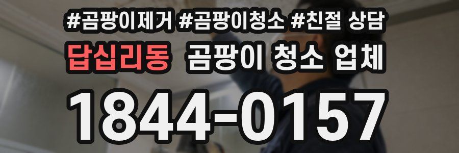 답십리동 곰팡이 청소 업체