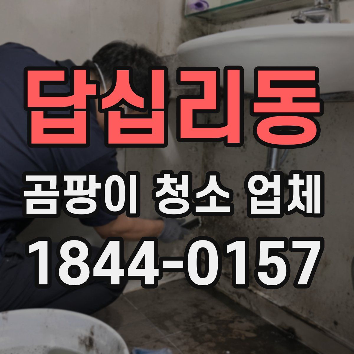 답십리동 곰팡이 청소 업체