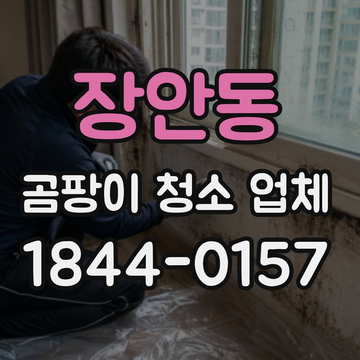 장안동 곰팡이 청소 업체