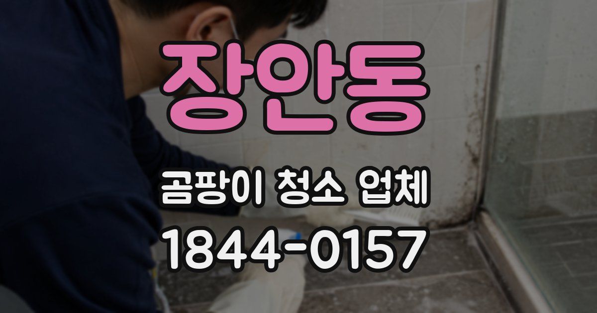 장안동 곰팡이 청소 업체