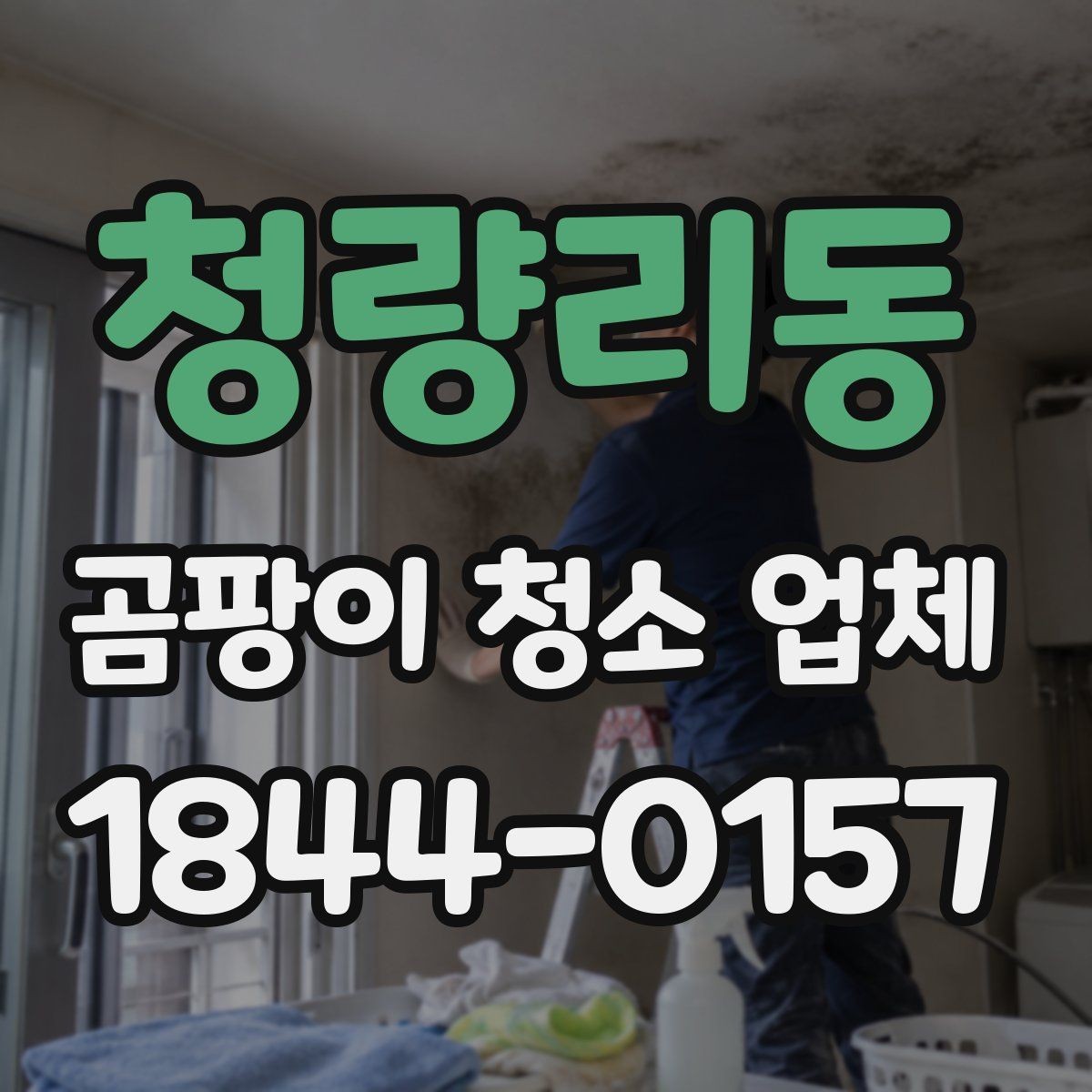 청량리동 곰팡이 청소 업체 예약 전 사진과 설명이 필요한 이유