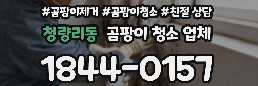 청량리동 곰팡이 청소 업체