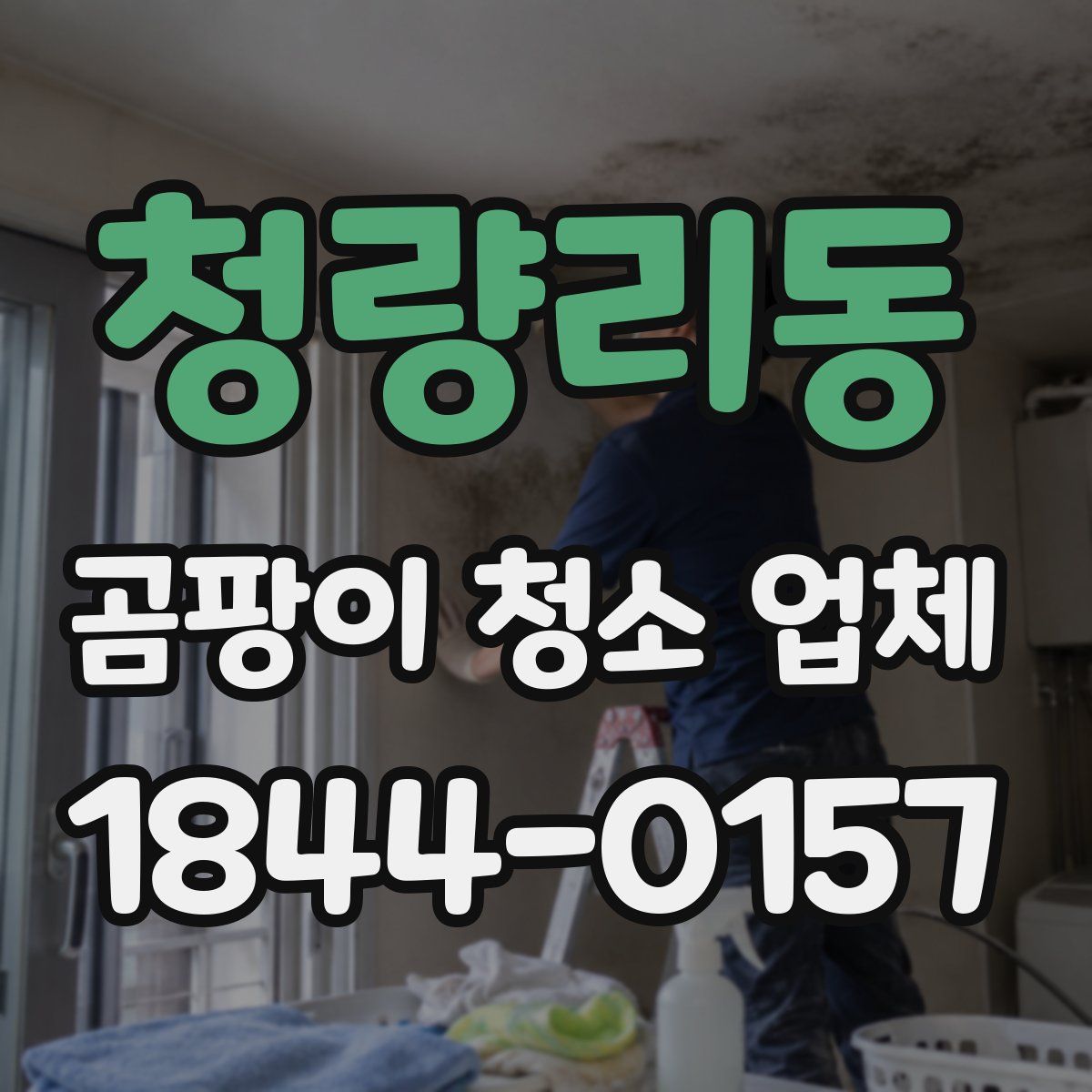 청량리동 곰팡이 청소 업체