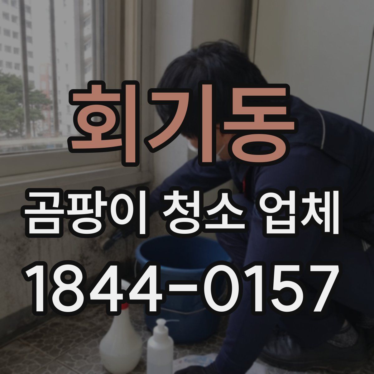 회기동 곰팡이 청소 업체