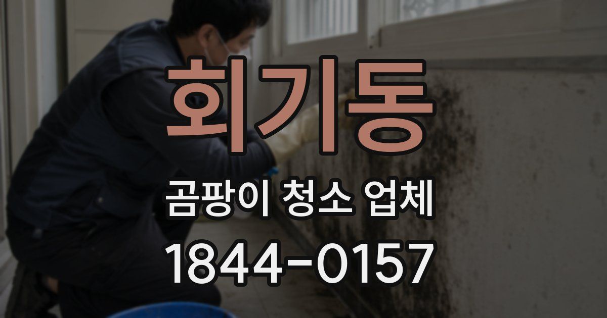 회기동 곰팡이 청소 업체