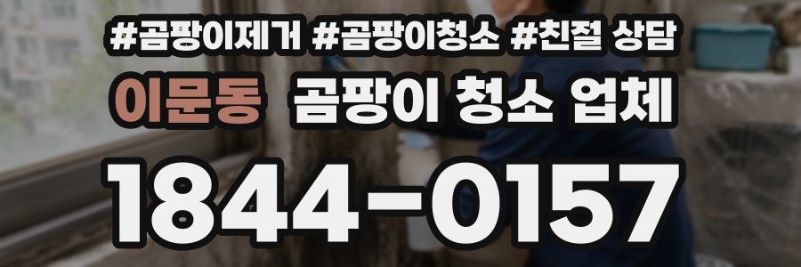 이문동 곰팡이 청소 업체
