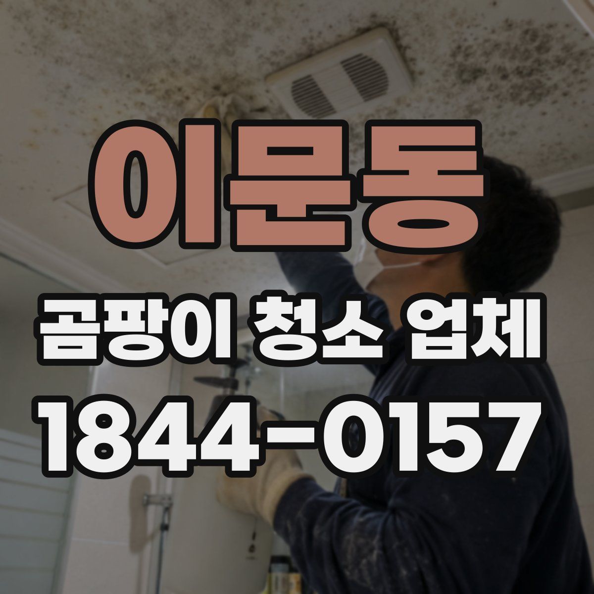 이문동 곰팡이 청소 업체