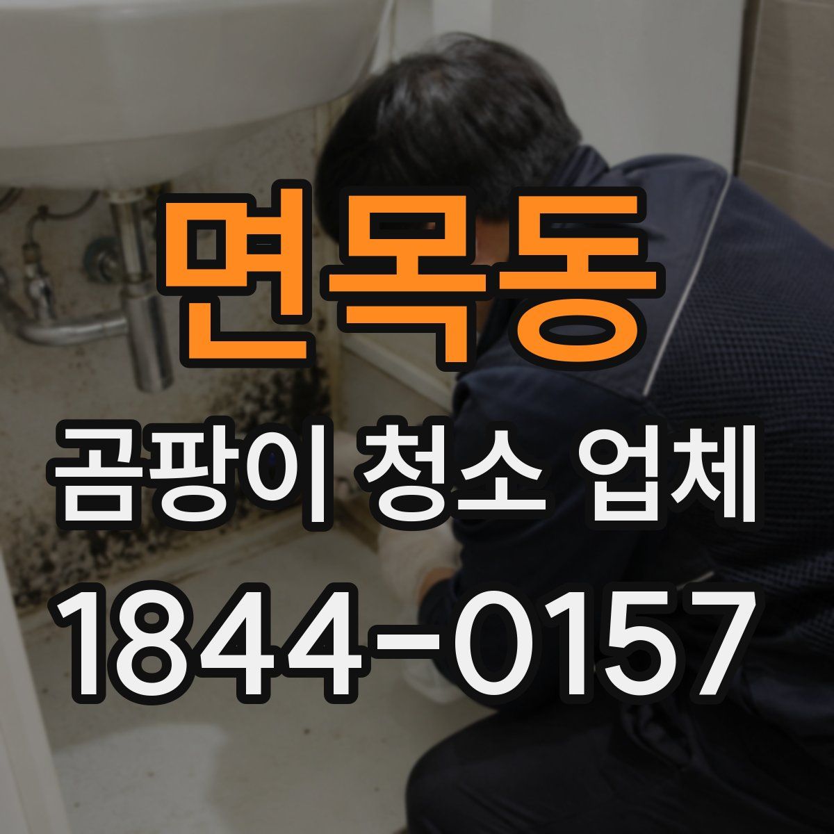 면목동 곰팡이 청소 업체