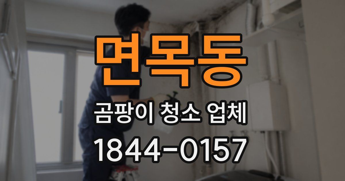 면목동 곰팡이 청소 업체