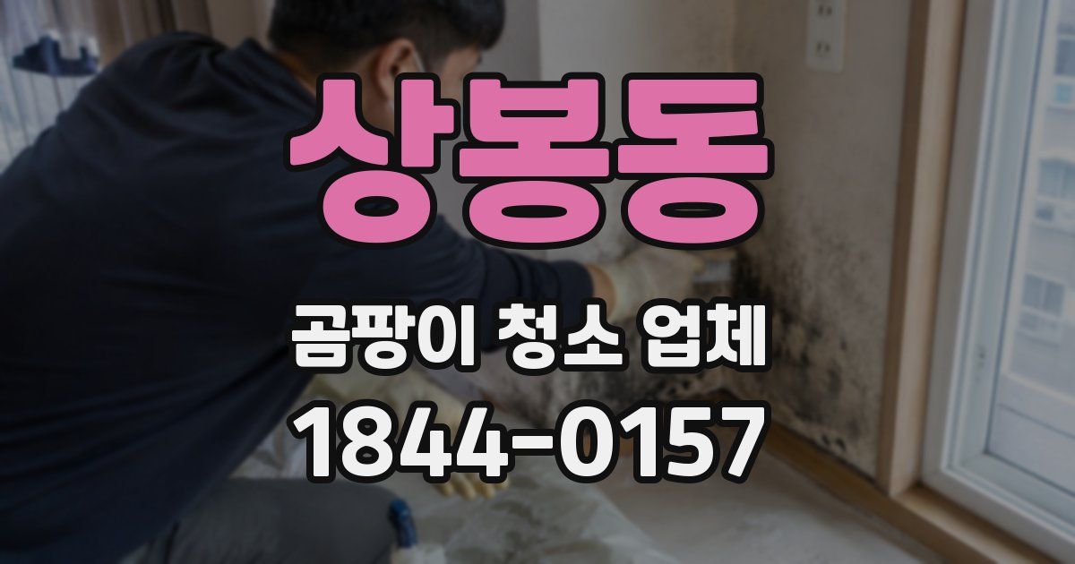 상봉동 곰팡이 청소 업체
