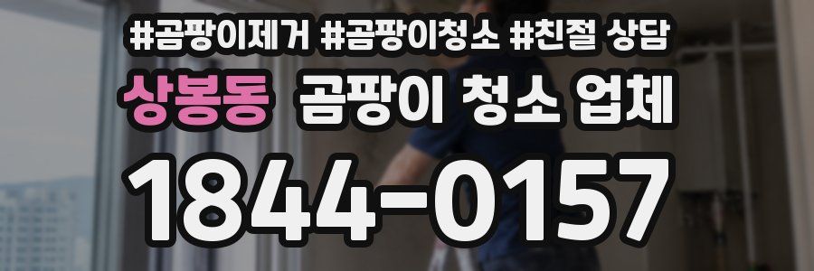 상봉동 곰팡이 청소 업체