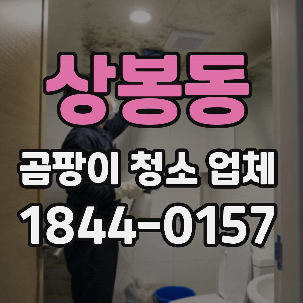 상봉동 곰팡이 청소 업체