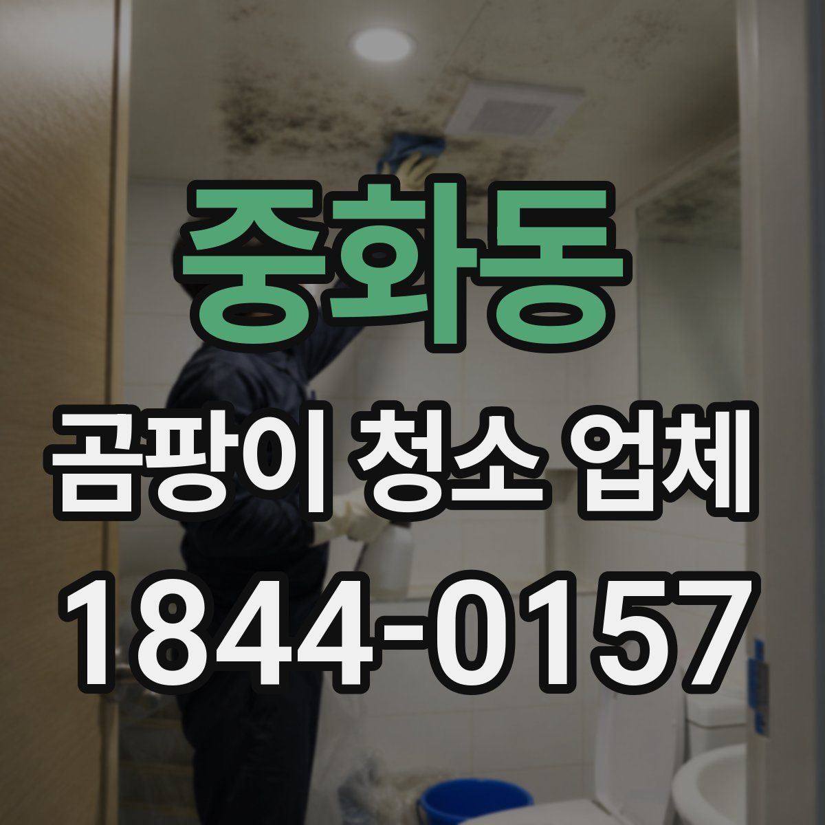 중화동 곰팡이 청소 업체