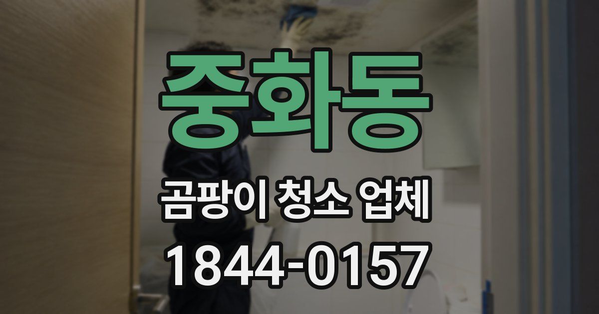 중화동 곰팡이 청소 업체