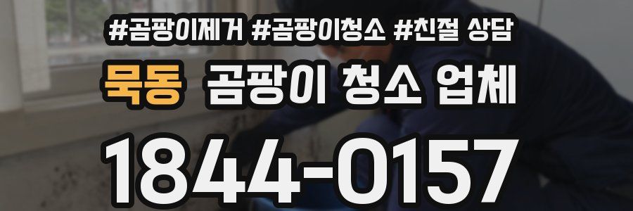 묵동 곰팡이 청소 업체