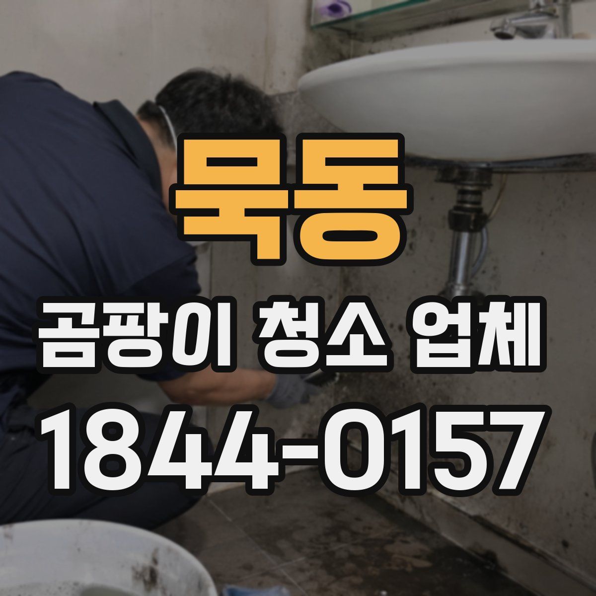 묵동 곰팡이 청소 업체