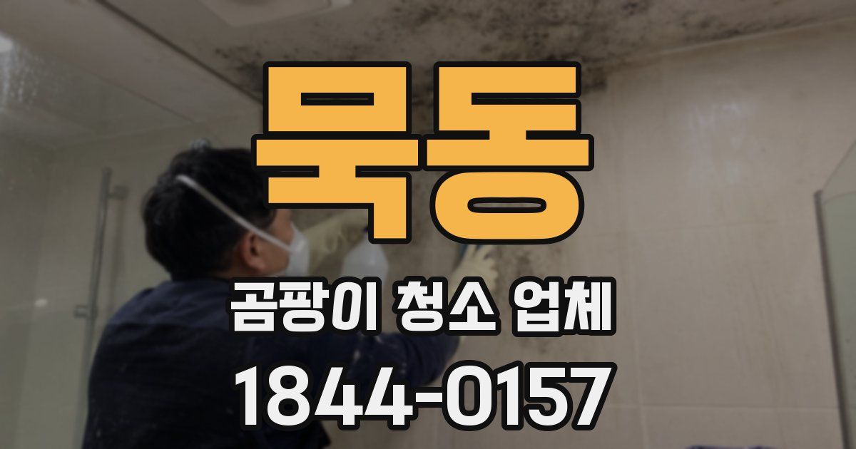 묵동 곰팡이 청소 업체