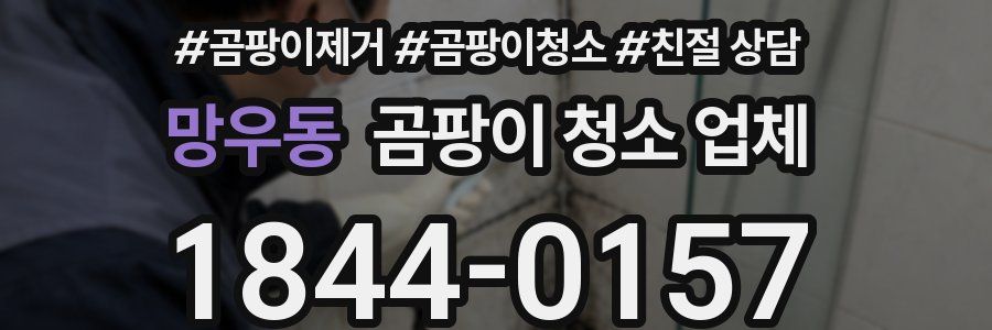 망우동 곰팡이 청소 업체