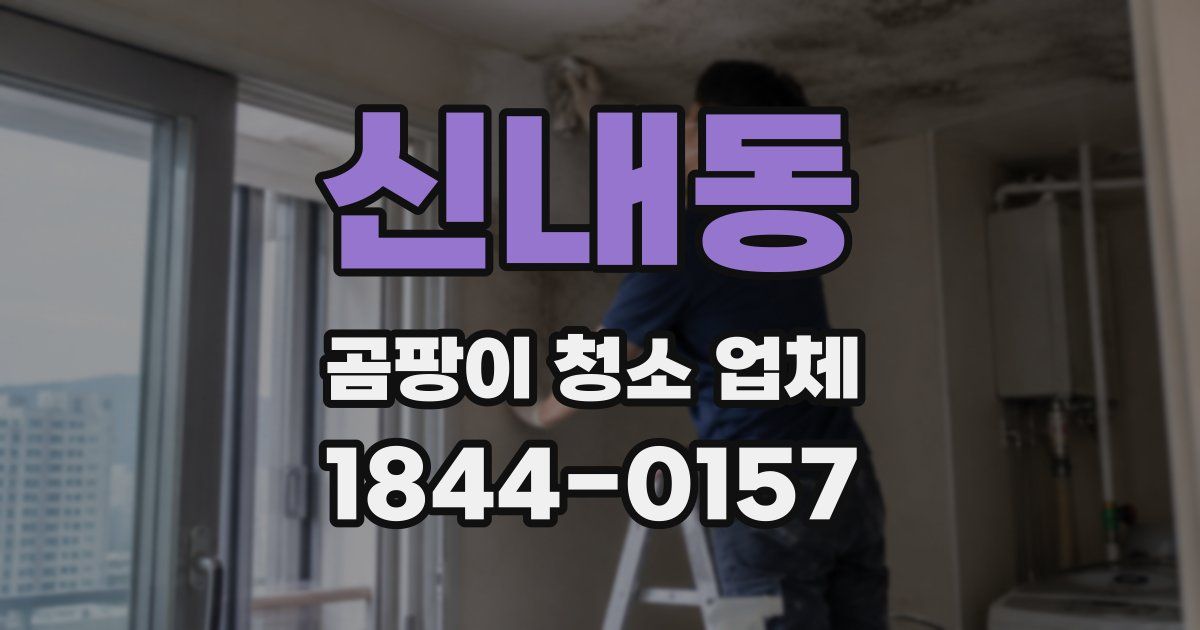 신내동 곰팡이 청소 업체