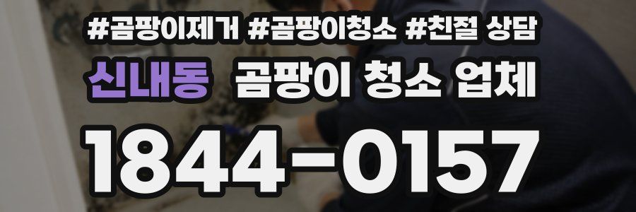 신내동 곰팡이 청소 업체