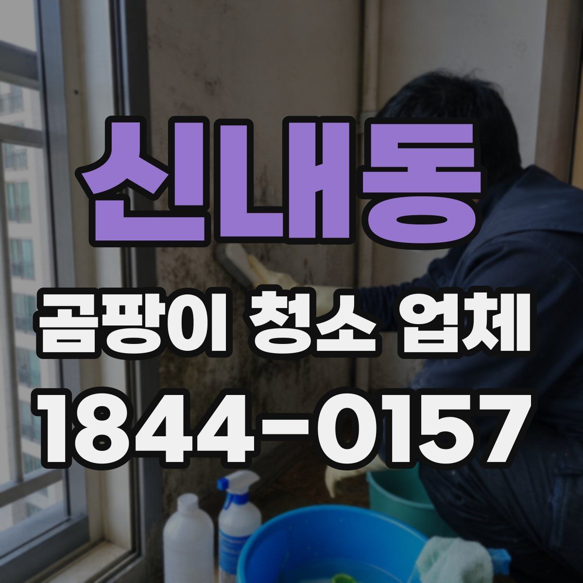 신내동 곰팡이 청소 업체