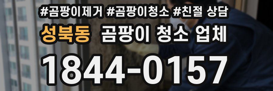 성북동 곰팡이 청소 업체